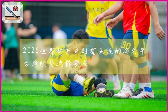 2026世界杯开户时需关注的海外平台风险与选择要点