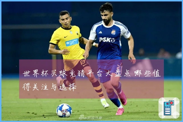 世界杯买球竞猜平台大盘点 哪些值得关注与选择