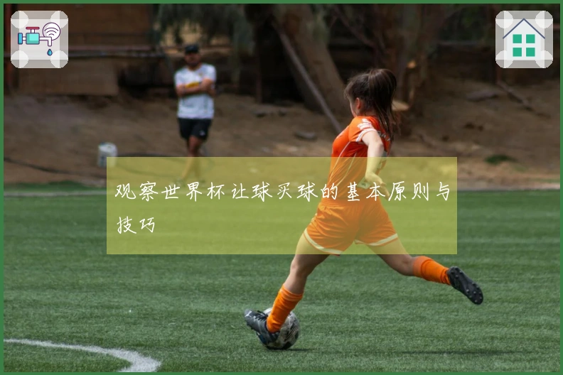 观察世界杯让球买球的基本原则与技巧