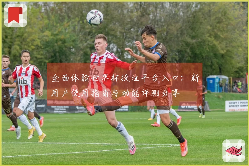 全面体验世界杯投注平台入口：新用户使用指南与功能评测分享