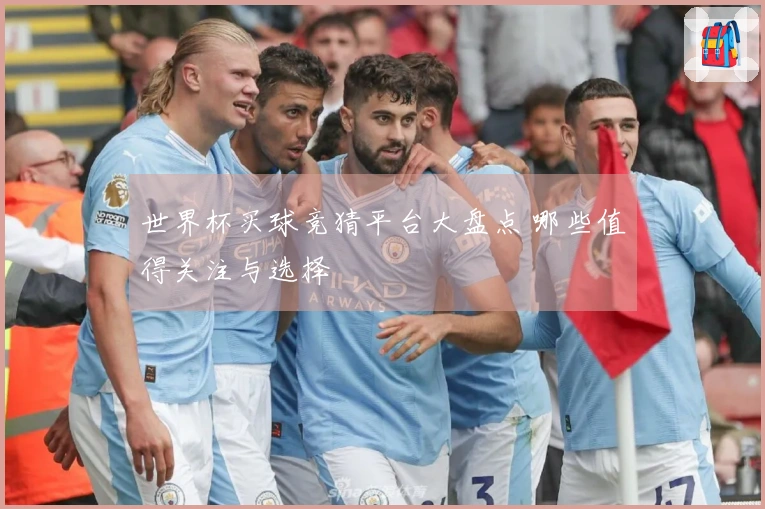 世界杯买球竞猜平台大盘点 哪些值得关注与选择