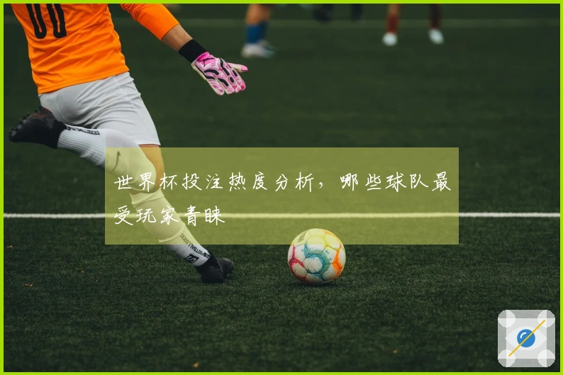 世界杯投注热度分析，哪些球队最受玩家青睐