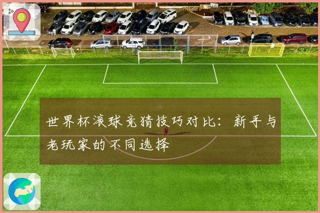 世界杯滚球竞猜技巧对比：新手与老玩家的不同选择