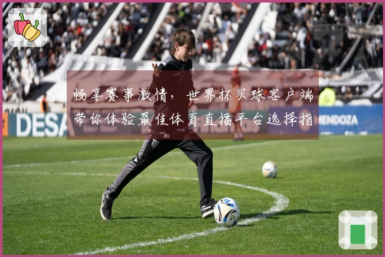 畅享赛事激情，世界杯买球客户端带你体验最佳体育直播平台选择指南