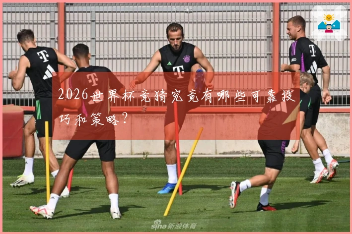 2026世界杯竞猜究竟有哪些可靠技巧和策略？