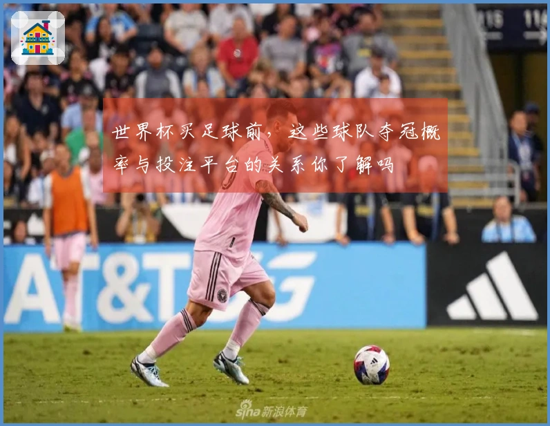 世界杯买足球前，这些球队夺冠概率与投注平台的关系你了解吗