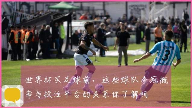 世界杯买足球前，这些球队夺冠概率与投注平台的关系你了解吗