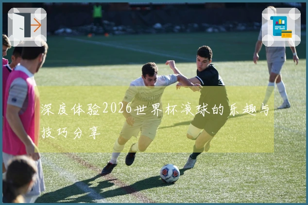 深度体验2026世界杯滚球的乐趣与技巧分享
