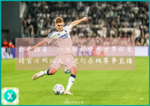 新手指南：如何轻松使用世界杯竞猜官方网站入口进行在线赛事直播
