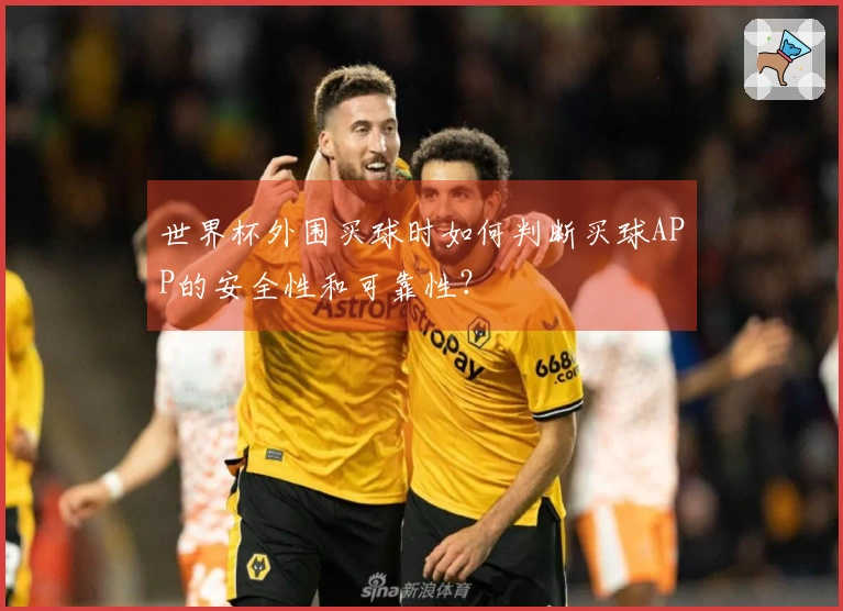 世界杯外围买球时如何判断买球APP的安全性和可靠性？