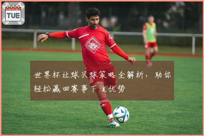 世界杯让球买球策略全解析，助你轻松赢回赛事下注优势